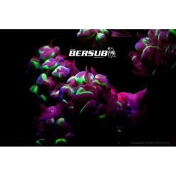 FLUORDIVE Filtre Jaune Pour Masque - Big Blue -Pro Dive Soldes fluordive filtre jaune pour masque big blue 1